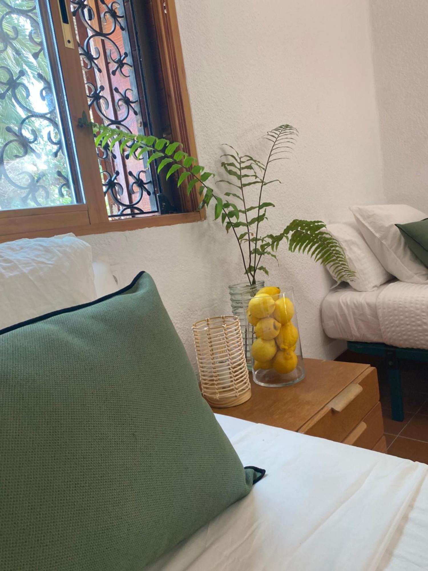 Bed & Breakfast Pink Lemon House Elche