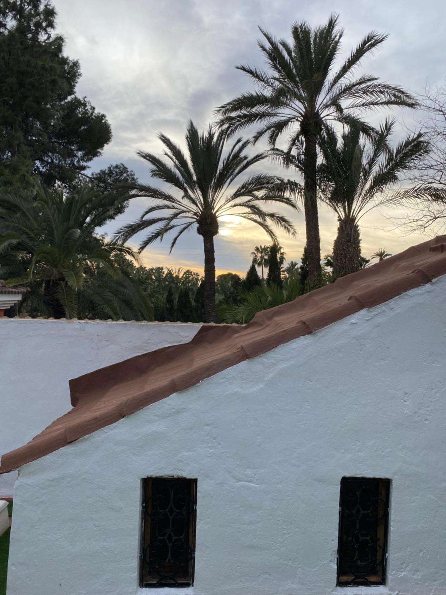 Pink Lemon House Elche