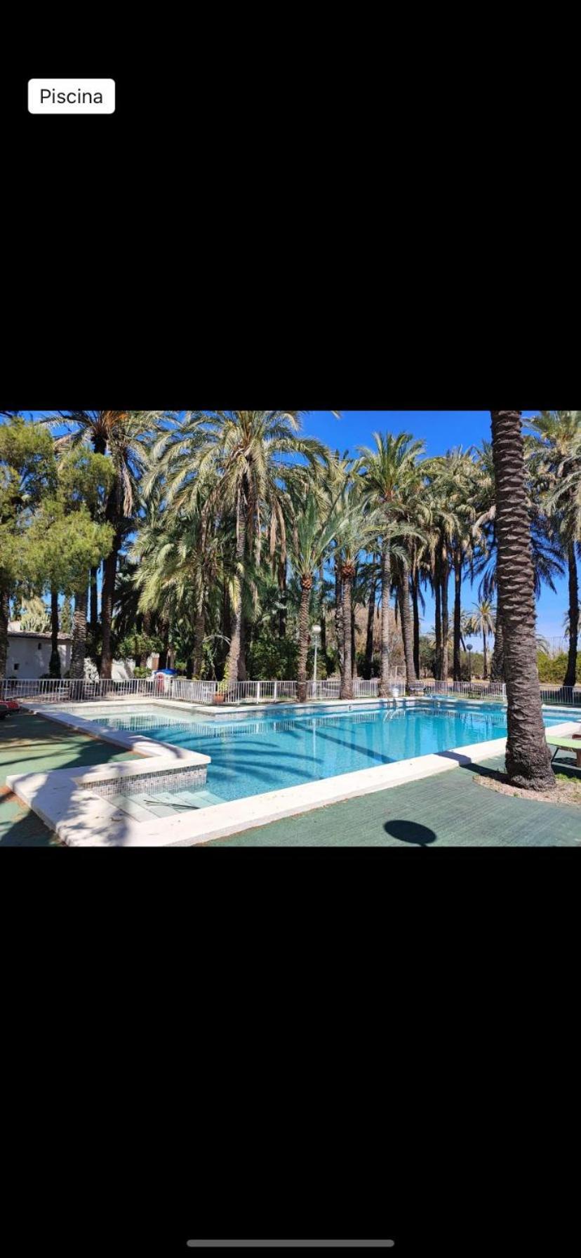 Pink Lemon House Bed & Breakfast Elche
