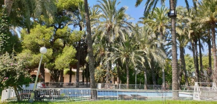 Bed & Breakfast Pink Lemon House Elche