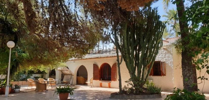 Pink Lemon House Bed & Breakfast Elche
